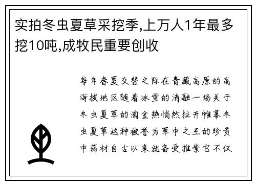 实拍冬虫夏草采挖季,上万人1年最多挖10吨,成牧民重要创收